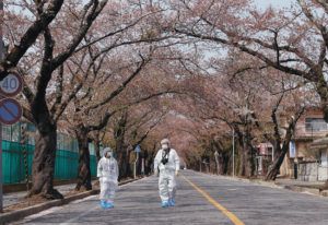 Des scientifiques dans une rue déserte de la zone contaminée